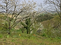 Primavera 2007_27